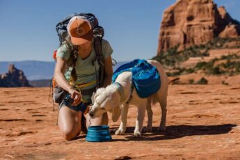 hiking gear for dogs